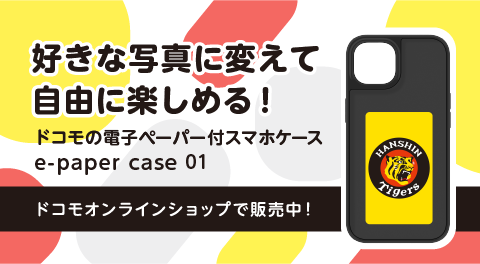e-paper case