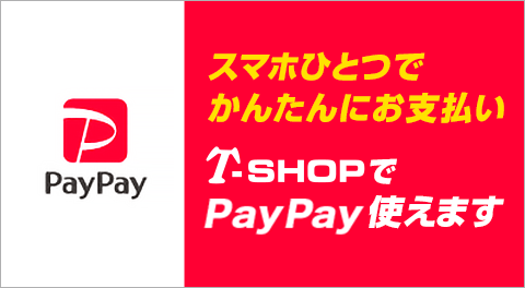 PayPay