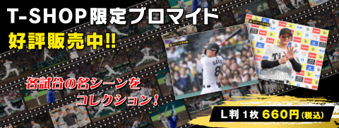 ブロマイド