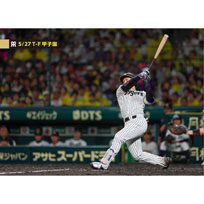 ブロマイド 5/27 T-F No.2　1森下
