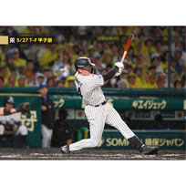 ブロマイド 5/27 T-F No.4　24ディベイニー