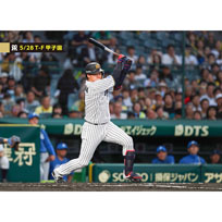 ブロマイド 5/28 T-F No.2　3大山