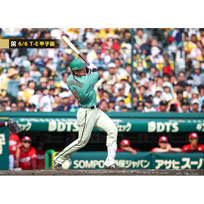 ブロマイド 6/6 T-E No.2　9立石