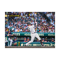 ブロマイド 6/23 T-S No.2　32濱田