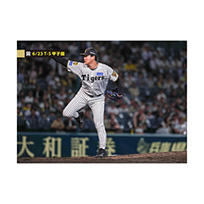 ブロマイド 6/23 T-S No.5　54木下
