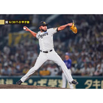 ブロマイド 6/30 T-D No.2　98ドリス