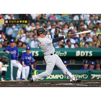ブロマイド 7/2 T-D No.2　1森下