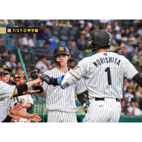 ブロマイド 7/2 T-D No.3　7中野