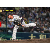 ブロマイド 7/3 T-C No.5　66津田