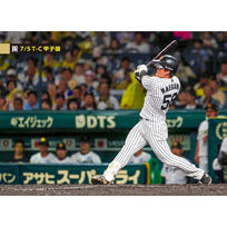 ブロマイド 7/5 T-C No.2　58前川